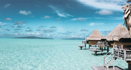 pexels photo 1167021 v2